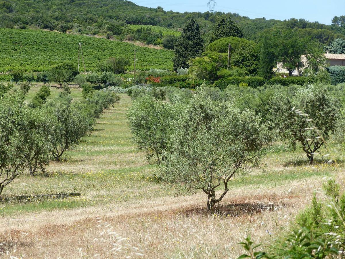 Gite Du Soleil Rochegude  Luaran gambar